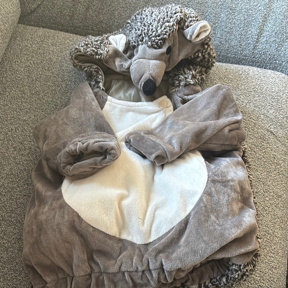 Adorable Hedgehog Costume for Kids